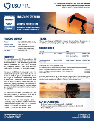Viceroy Petroleum Exec Summary